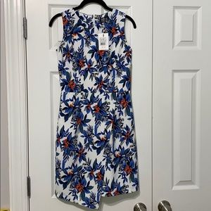 NWT Poppy Lux blue floral dress